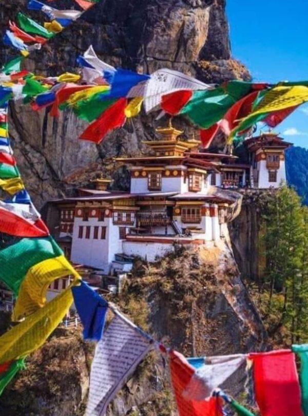 491407153_1194057886063829_8057440061935892486_n