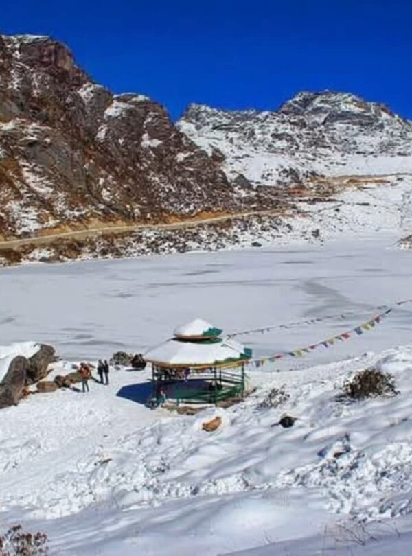 491941384_1193997246069893_496687965195299725_n